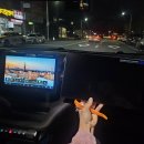 BYD 돌핀 모니터 12.8인치 업그레이드 후기(+영상), 디지털키 추가 위치