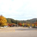 호사유피 이미지