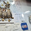 모닝글로리동암점 | 230309 동암 벤식당