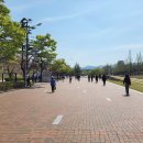 영남대학교 정문 이미지