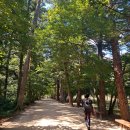 100대명산 변산반도 국립공원 내변산 /전북투어 (완주/부안/익산) 이미지