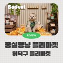 에브리마켓 | 카페 와일드덕 허덕구 플리마켓 꿍실멍냥 후기