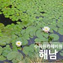 해남 수목원 감성 정원 카페 ‘비원’ 힐링 장소 추천