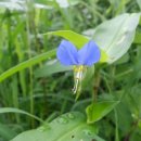 채기농장 이미지