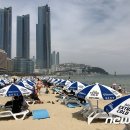 해운대해수욕장 이미지