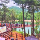 [경기도 파주 Paju, Gyeonggi-do. 마장호수 출렁다리 ,김할매어죽, 벽초지수목원. 220605] 남자친구와...