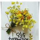 일흔이재로 이미지