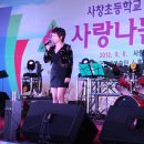 사창초등학교 이미지