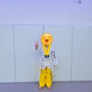 용인대 정무태권도장 이미지