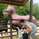 나뱅이길 이미지