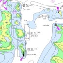 변월도