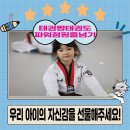 태권짱 이미지