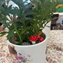 인기농장 이미지