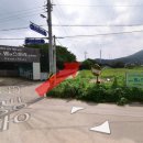 약석원법인 - 강화군 중앙로787번길 56-53 | 약석원법인