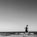 고릴라 복싱 이미지