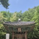 여주한강공인중개사사무소 | 여주 나들이, 남한강 출렁다리와 신륵사 산책