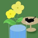 (주)디지털레이어 이미지