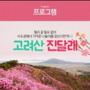 4월14일 (둘째토요일) 고려산 진달래꽃 축제 번개산행 이미지