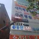 구트병원 Daum카페