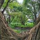 창녕여자고등학교 이미지