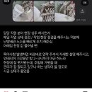 주식회사오즈인테리어 이미지