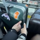 오느른 미 | 후쿠오카 3박4일 (근교 투어 없이 오로지 후쿠오카!!)