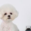 아이즈동물병원 이미지