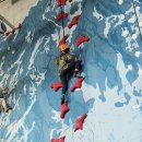 MBTI로통하는법 이미지