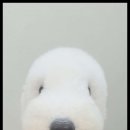 멍했냥 평택본점 이미지