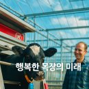 신호목장 이미지