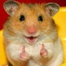 천일면옥 이미지