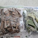 뜰사랑님 유근피 꽃 이미지