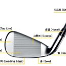 엘리트핏24 골프 이미지