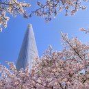 일출로5-L 이미지