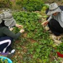 토마토 민박 이미지