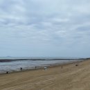 개포골드공인중개사사무소 이미지