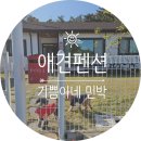 기쁨이네 민박 이미지