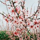 조은주유소 이미지