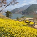 구만제 이동식 | 전남 구례 여행 코스: 지리산 치즈랜드 수선화와 구만제 호수 뷰 명당