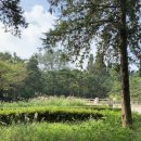 영흥개발(주) | 산림청 선정ㅣ2026년 꼭 가봐야할 수목원 10선(3)