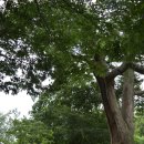 의평마을 이미지