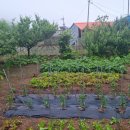 해당화 펜션 이미지