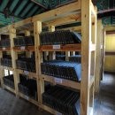 영주 부석사 고려목판 이미지