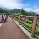 외양포공영주차장 이미지