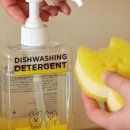 써니데이즈 이미지