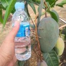 오케이무역주식회사 이미지