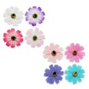 코스모스환경 이미지