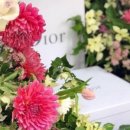 어나더원 이미지