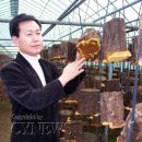 영농조합법인그린농산 이미지