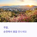 옥천현대@앞(현대@~옥천정수장) | 이번 주말엔 순천 옥리단길, 사운즈옥천 흥매화 나들이 추천